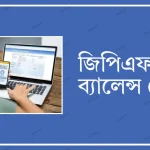 Gpf balance check bd - জিপিএফ ব্যালেন্স চেক