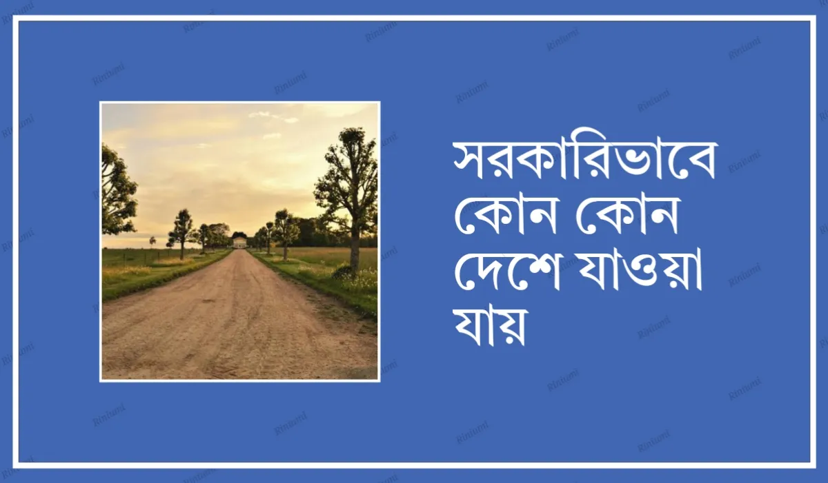 সরকারিভাবে কোন কোন দেশে যাওয়া যায়