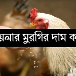 ব্রয়লার মুরগির আজকের বাজার দর